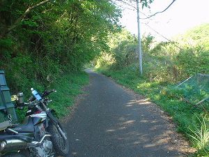 �D�⓻2(���R����)