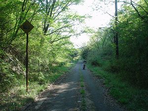 �D�⓻4(���R����)