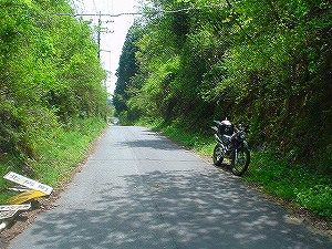 ���a�R��[ORR�̓��H�����񍐏�]