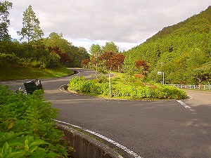 �[����[ORR�̓��H�����񍐏�]