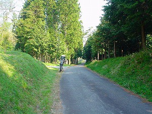 ���Γ�[ORR�̓��H�����񍐏�]