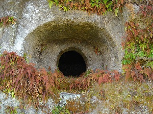 ���s�S��