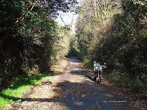 ��l�������Ɏc��@��