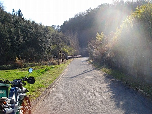 1.5�Ԑ��̑吳��