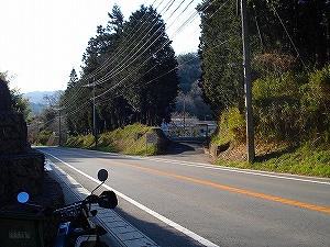 ���������f���鋌����