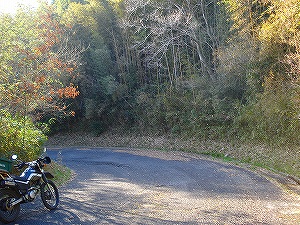 ��\�㉴�ō��x���҂�����