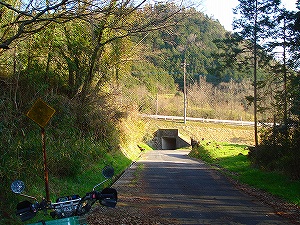 �����̌x���W���ƌ����̃{�b�N�X�J���o�[�g