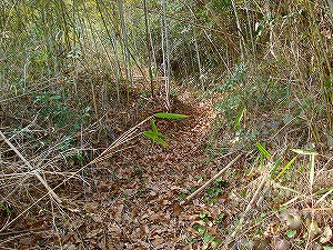 �X���L�Y�����a