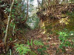 �r���̌@��