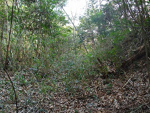 �����܂ŗ��p���ꂽ��l������