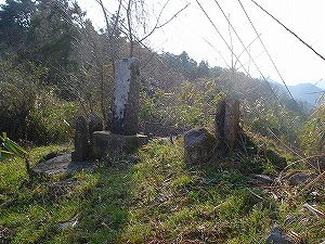 ��l�������̋��{��