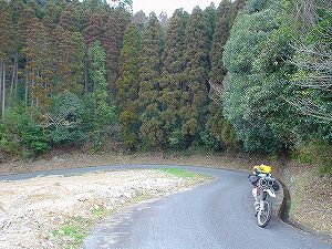 �Óޖؑ��Y��