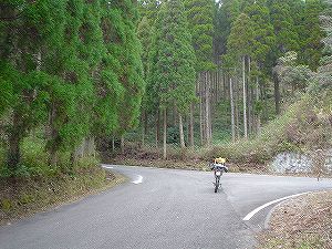 �Óޖؑ��Y��