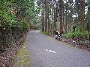 �Óޖؑ��Y��