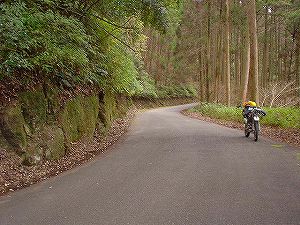 �Óޖؑ��Y��