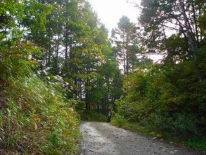 ����(���������)2