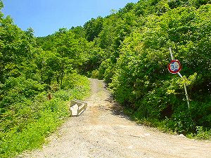 �哻(�����P�Q�P����)4-4�^ORR