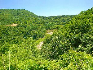 �哻(�����P�Q�P����)6-7�^ORR