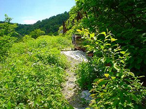 �哻(�����P�Q�P����)7-5�^ORR