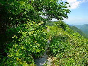 �哻(�����P�Q�P����)7-6�^ORR