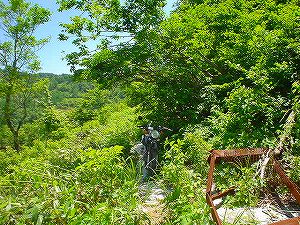 �哻(�����P�Q�P����)7-7�^ORR