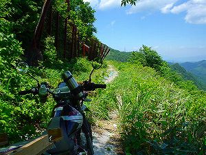 �哻(�����P�Q�P����)8-1�^ORR