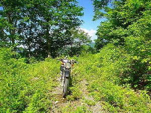 �哻(�����P�Q�P����)11-4�^ORR