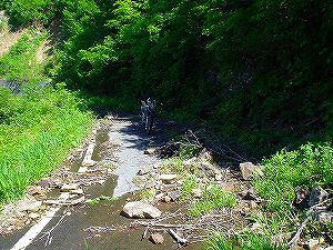 �哻(�����P�Q�P����)12-2�^ORR