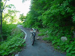 �哻(�����P�Q�P����)12-5�^ORR