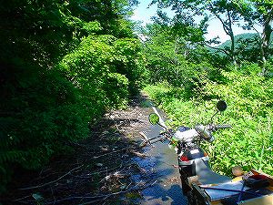 �哻(�����P�Q�P����)12-7�^ORR