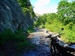 �哻(�����P�Q�P����)13-2�^ORR