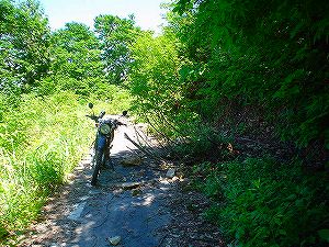 �哻(�����P�Q�P����)13-5�^ORR