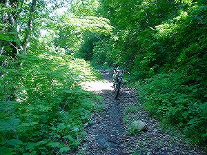 �哻(�����P�Q�P����)13-7�^ORR