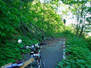 �哻(�����P�Q�P����)14-3�^ORR