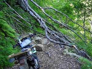 �哻(�����P�Q�P����)14-4�^ORR