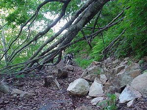 �哻(�����P�Q�P����)14-5�^ORR