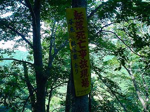 �哻(�����P�Q�P����)14-7�^ORR