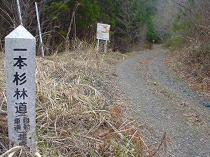 ��{���ѓ�2�^ORR