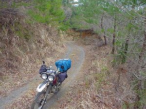 ��{���ѓ�3�^ORR