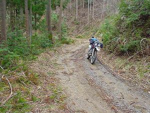 ��{���ѓ�4�^ORR