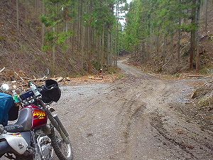 ��{���ѓ�5�^ORR