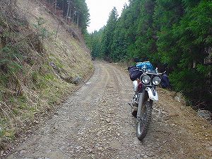 ��{���ѓ�6�^ORR