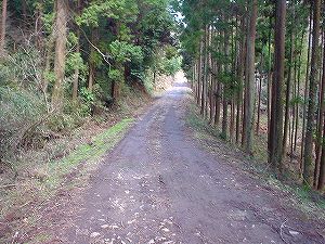 ���򏬊��ѓ�