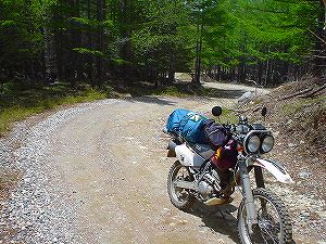 ���q�u�ѓ�2�^ORR