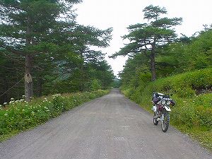 ���m�ۗѓ�2�^ORR