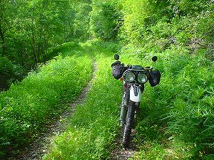 ����ѓ�3�^ORR