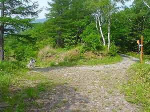 ����ѓ�4�^ORR