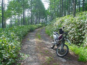 ����ѓ�5�^ORR