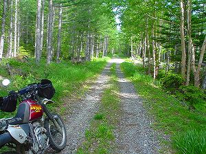 ����ѓ�6�^ORR