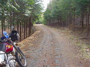 ���R�����ѓ�4�^ORR